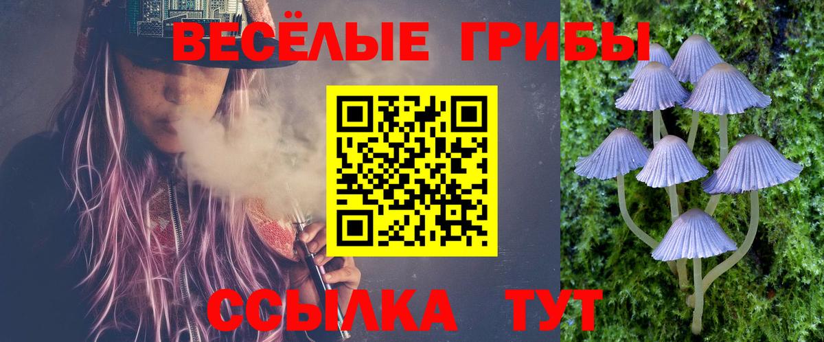 где купить наркоту  Вход с VPN  Псилоцибиновые грибы GOLDEN TEACHER  Дмитров  Псилоцибиновые грибы Cubensis 
