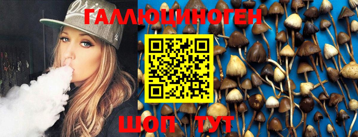 Псилоцибиновые грибы MAGIC MUSHROOMS Дмитров